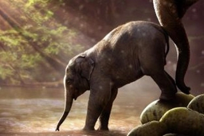 Bayi Gajah di PLG Minas Mati