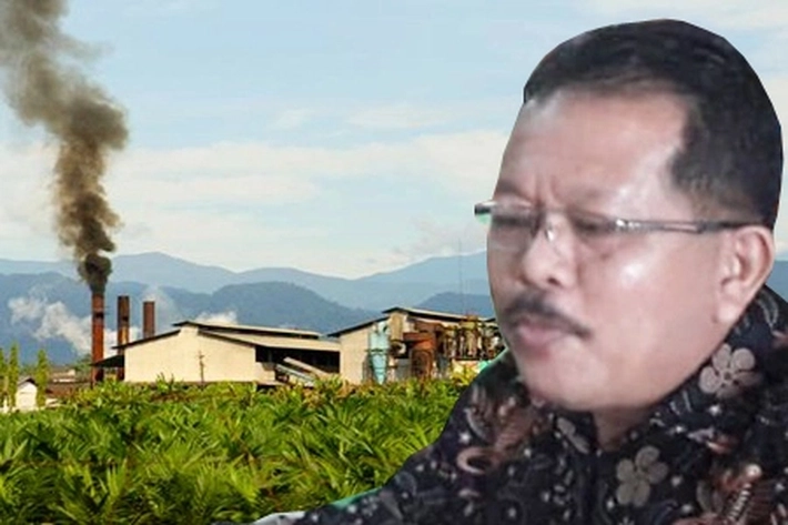 Pandangan Praktisi Hukum Soal Kebun Sawit-PKS Ilegal