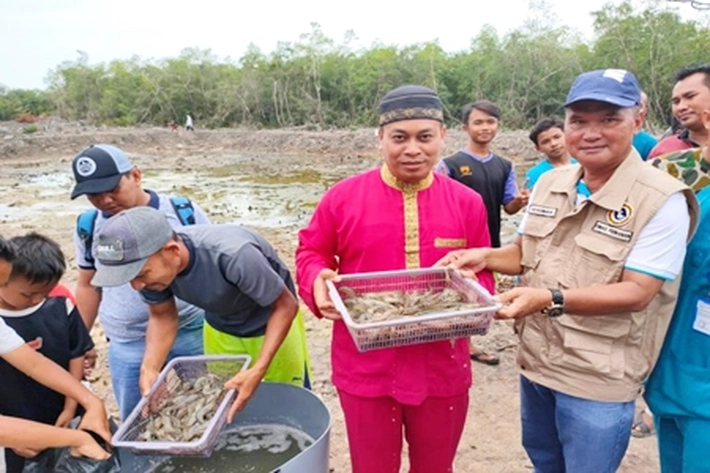 Panen Memuaskan, Daik Lingga Berpotensi Jadi Sentra Udang Vanamei