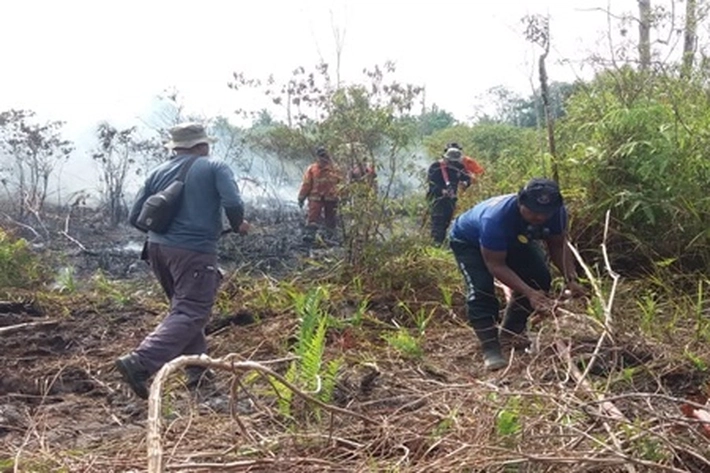 Mobil Damkar Dikerahkan ke Lahan Gambut Terbakar