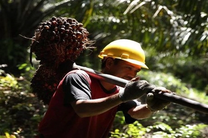 PT TPP Tangkal Kecemasan Karyawan Ditengah Virus Corona