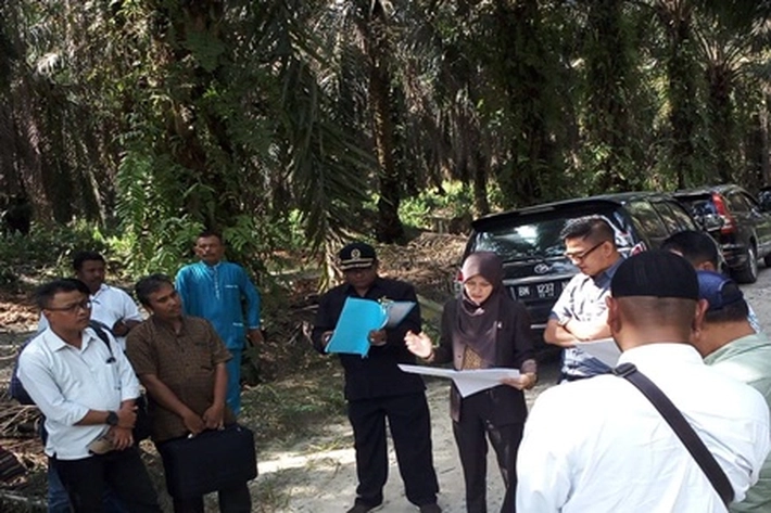 Humas PT MWII Bungkam, Ditanya Soal Penyerobotan Lahan Adat Sakai