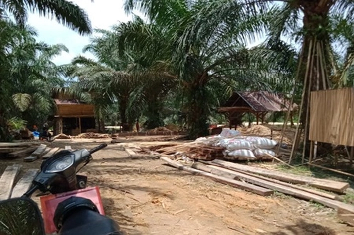 Ditemukan Sawmill Ilegal di Desa Tanah Merah Rohil