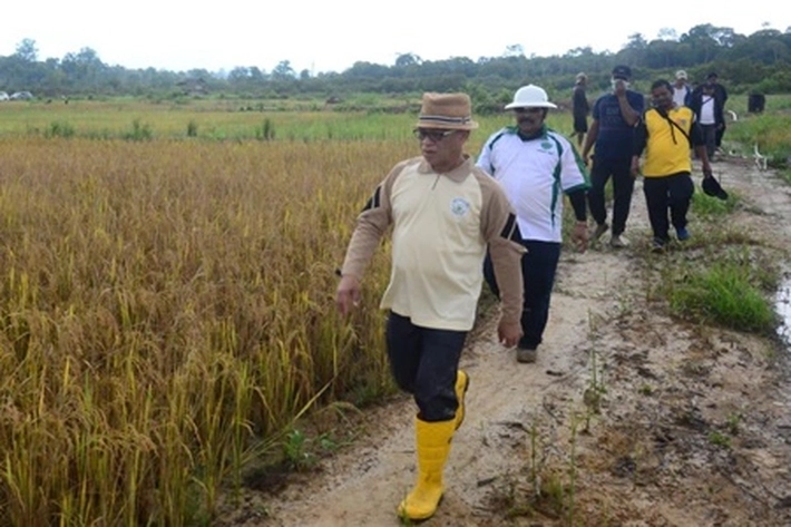 Bupati Alias Wello Berharap Empat Desa Penuhi Pangan