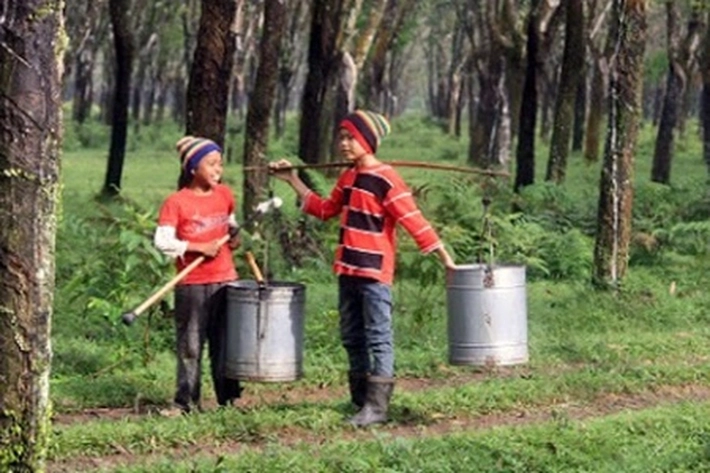 Pandemi Virus Corona Buat 'Anak-anak Ikut Bekerja'