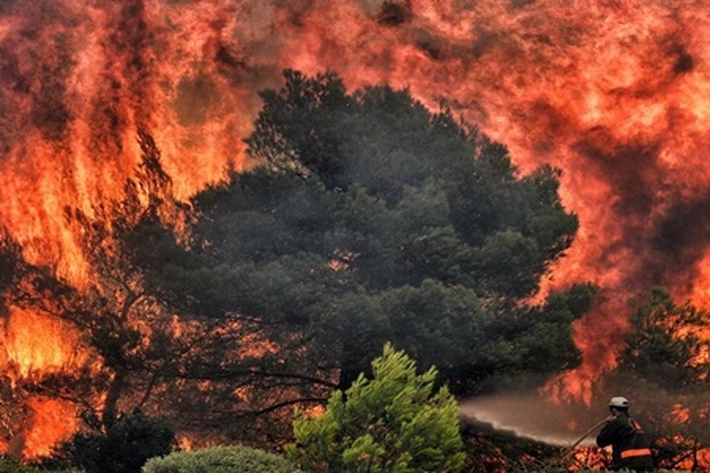Kemarau Mengancam, Hutan-Lahan Mulai Terbakar