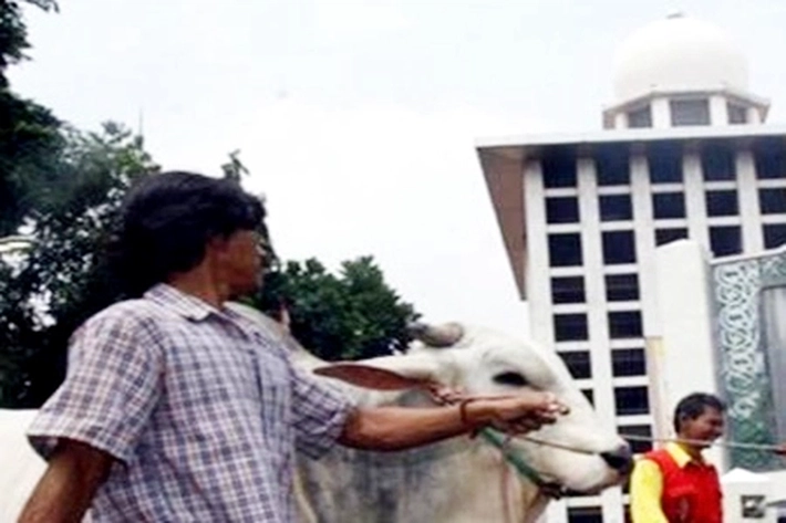 Qurban, Ibadah Mulia-Istimewa