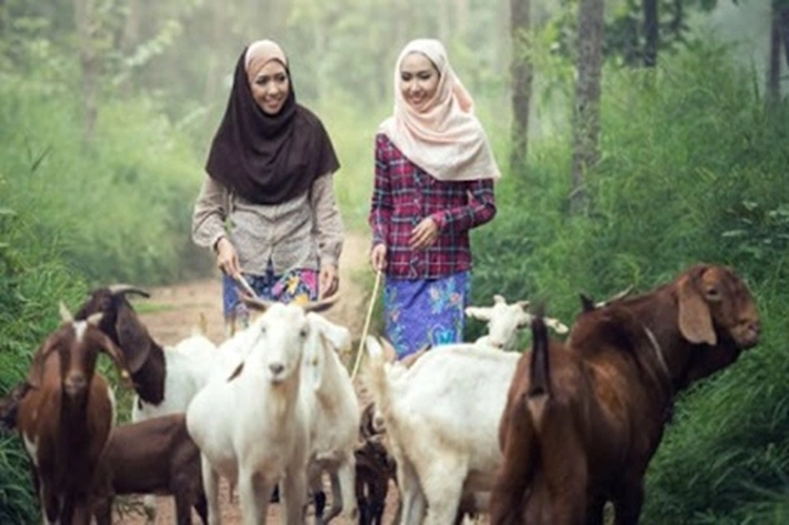 Distribusi dan Pemotongan Hewan Kurban Pakai Aturan