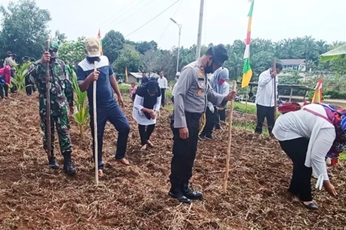 Polsek Rambah dan Kodim 0313/KPR Jaga Stabilitas Pangan