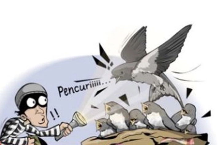 Polisi Tangkap 2 Pencuri Sarang Burung Walet