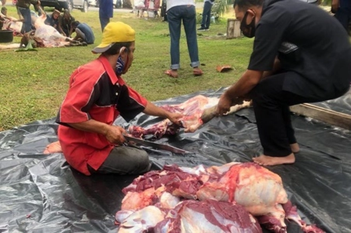 Polres Rohil Dan Jajaran Gelar Pemotongan 57 Ekor Hewan Kurban