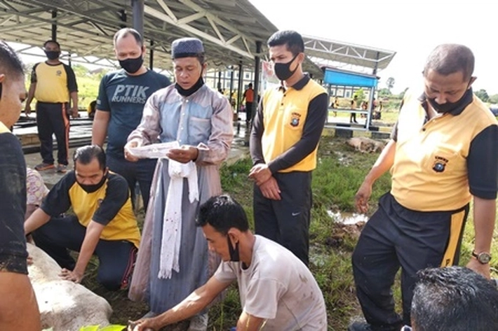 Polres Rohul Sembelih 25 Ekor Hewan Kurban di Idul Adha