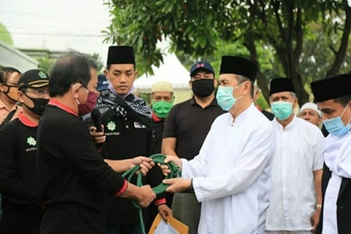 Gubernur Syamsuar Serahkan Hewan Kurban ke Masjid Raya An-Nur