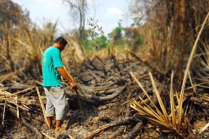 Gara-gara Suap Alih Fungsi Hutan, Pejabat Diperiksa