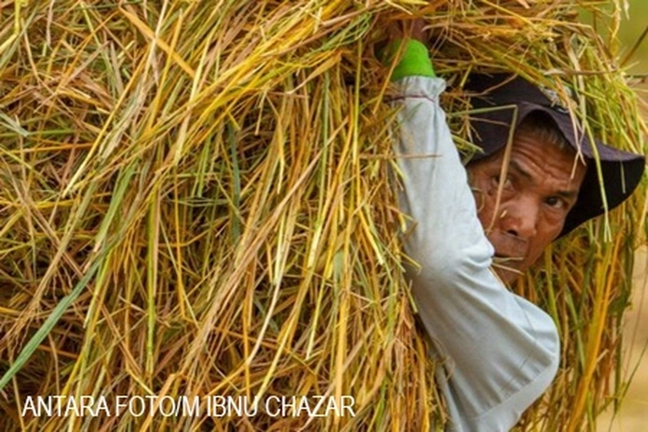 Pemerintah Beri Insentif Rp 600 ribu per bulan Pada Karyawan Swasta, 'Bagaimana Mengawasinya?'