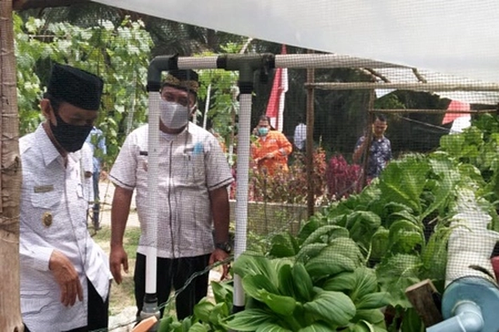 Pemkab Pelalawan-PT Pertamina Hulu Energi Kampar Buat MoU Proklim