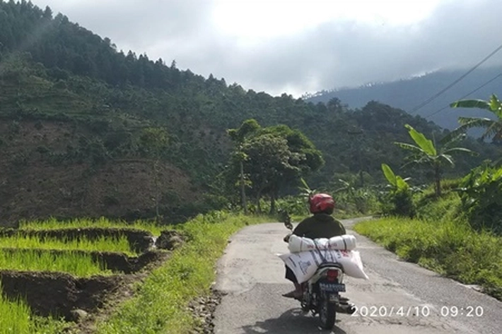 Menghadapi Pandemi, Ketahanan Pangan Masih Mencukupi 