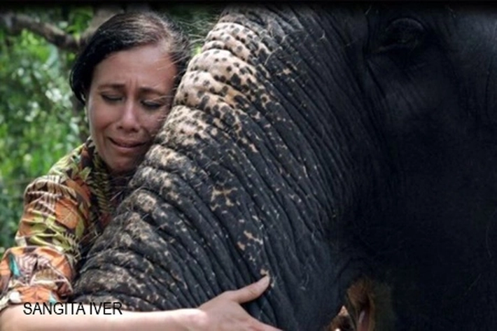 Cerita Seorang Perempuan di Kuil India, 'Gajah Disiksa Lalu Mereka Meneteskan Air Mata Buaya'