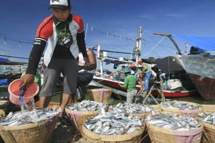 KKP Melalui BBPBAP Pacu Produktivitas Benih Ikan Laut