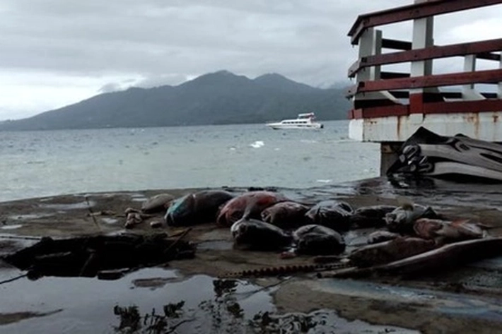 Kerusakan Lingkungan di Pulau Ternate