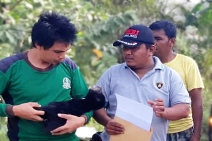 Terpisah dari Induknya, Bayi Beruang Madu Diserahkan ke BKSDA