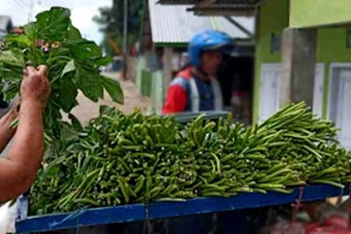 Dimasa Pandemi Petani Berbagi Sayur