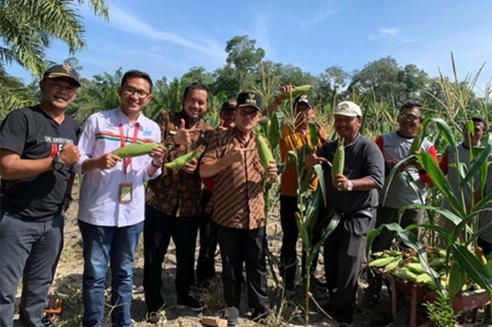 Pertamina Bantu Kelompok Tani Gunakan Lahan Tidur
