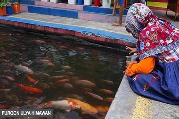 Pemuda 'Kurang Kerjaan' Berhasil Ubah Saluran Air Kotor jadi Tempat Ikan Koi