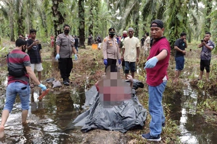 Warga Tambusai Ditemukan Tewas Dikebun Sawit