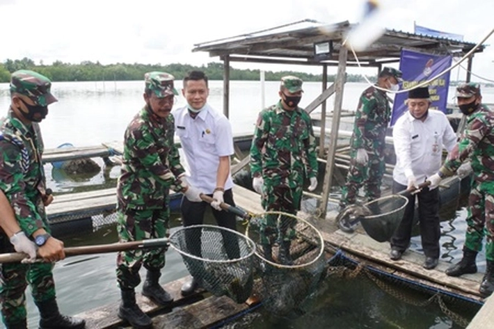 TNI AL dan DPPP Tanjungpinang Panen Ikan Kerapu