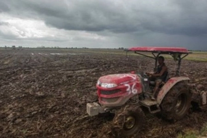 Pegiat Lingkungan Plototin Proyek Lumbung Pangan di Hutan Lindung, 'Bencana dan Konflik Tak Terhindarkan'