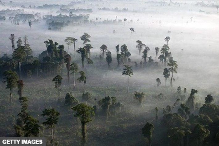 Ilmuwan Ungkap Berat Benda-benda Buatan Manusia, 'Lampaui Bobot di Bumi'