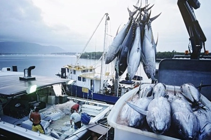 Pengawasan Kelautan Diperkuat, Menteri KP: Terutama Wilayah Rawan Illegal Fishing