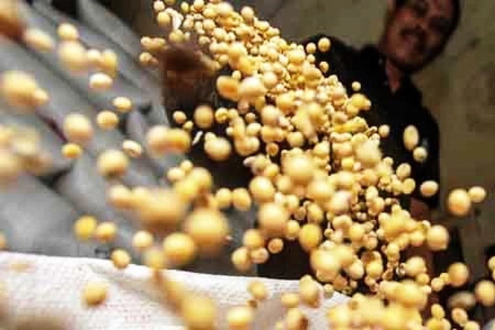 Kementan Stabilkan Pasokan dan Harga Kedelai