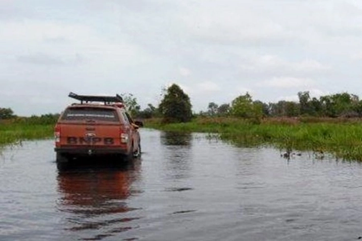 Sejumlah Daerah Langganan Banjir, BPBD: Pelalawan Termasuk Rawan