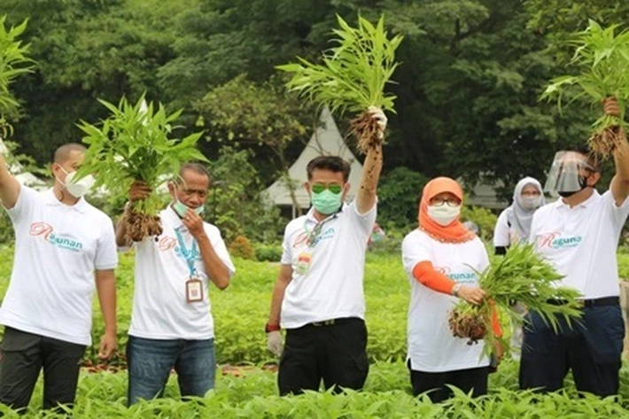 Mentan SYL Sebut Masyarakat Harus Kreatif dan Produktif, Karena Pandemi 'Berdampak Disegala Sektor'