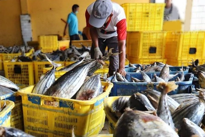 Volume Penjualan Pasar Ikan Modern Meningkat