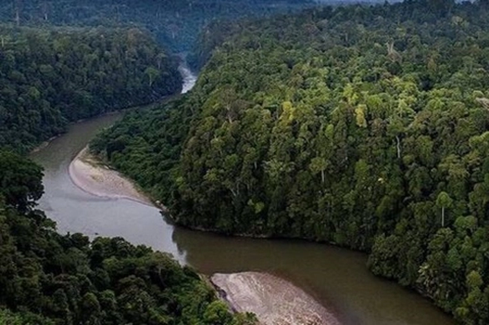 185 Peristiwa Bencana di Awal 2021, Penyebabnya Karena 'Kerusakan Hutan'