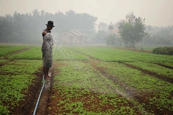 Kementan Dukung Pencanangan Kampung Jajar Legowo
