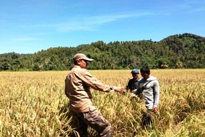 Asisten I Setdaprov Riau, Jenri Salmon Ginting: 'Santani' Diharap Ikut Berdayakan Usaha Tani