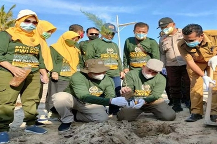 Kegiatan PWI Go Green di Tepi Bibir Pantai Pulau Rupat