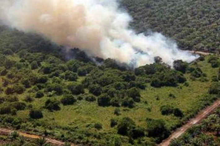 50 Hotspot Terpantau Terbanyak di Riau