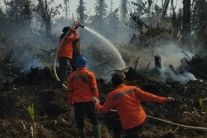 Hotspot Mulai Terdeteksi, Akibat Karhutla Jadi 'Kabut Asap'