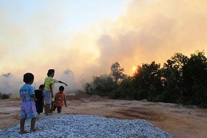Kebakaran Hutan di Dumai Sudah Mendekati Pemukiman Warga 