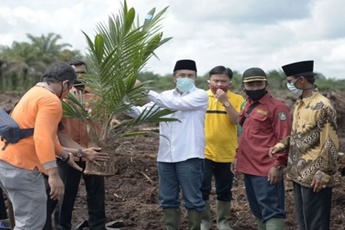 Gubri Berharap DPR RI Perjuangkan DBH Kelapa Sawit
