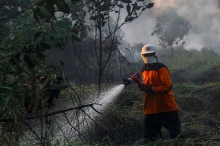 Hampir Dua Bulan BPBD Pekanbaru Padamkan Lahan Terbakar