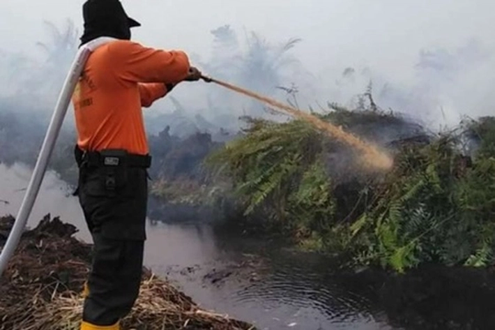 Ada 73 Titik Panas Terdeteksi di Riau, Pelalawan Terbanyak