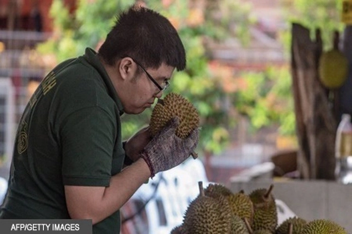 Kehilangan Daya Penciuman Bukan Hanya Akibat Covid-19