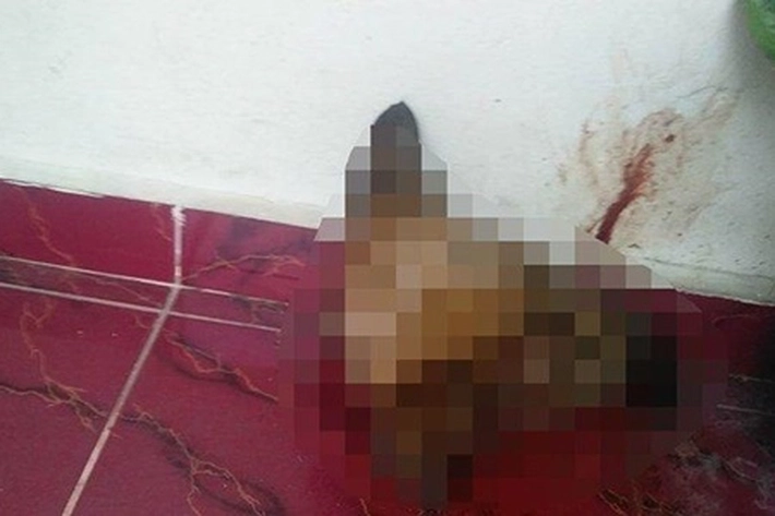 Polisi Amankan Pelaku Teror Kepala Anjing yang Dilemparkan ke Rumah Jaksa di Riau