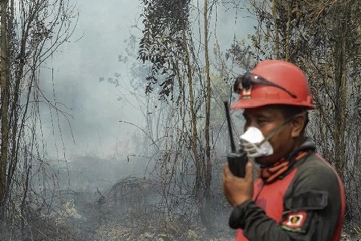 Sudah Tiga Hari Kebakaran Hutan dan Lahan di Kampar Belum Padam
